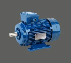 AC Y2-1 Induksjonsmotor for pumper, vifter