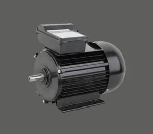 AC YY 220V 50Hz induksjonsmotor for vaskemaskin