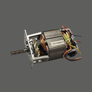Power Chopper Motor