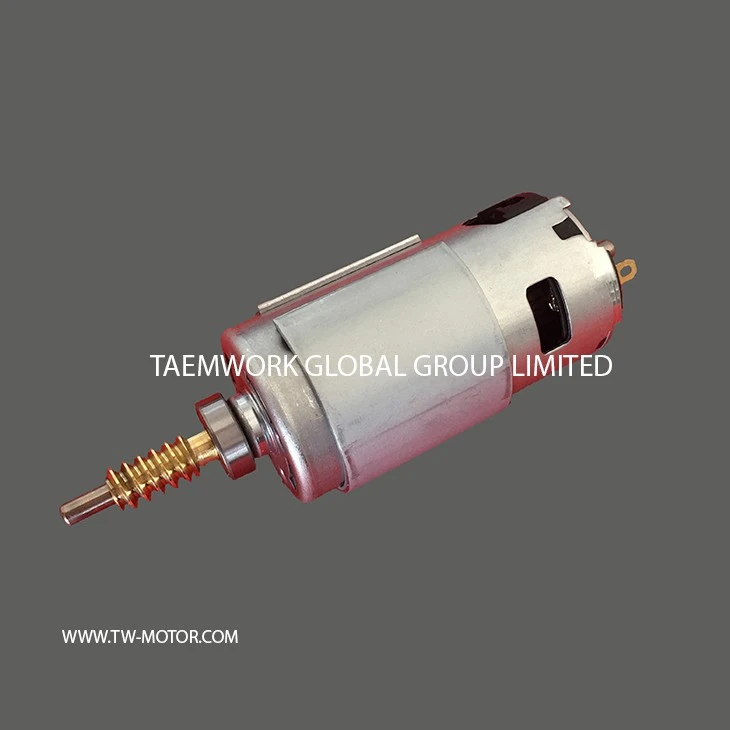 Medical Treatment DC Motor