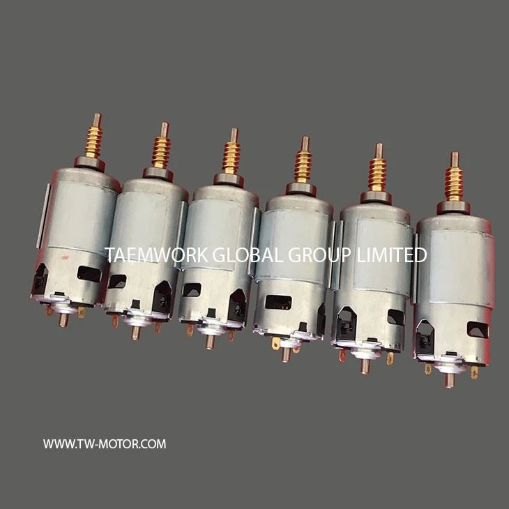 Medical Treatment DC Motor