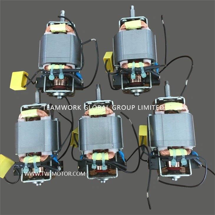 Small Mixer Motor 220V.