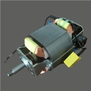Liten blandemotor 220V.