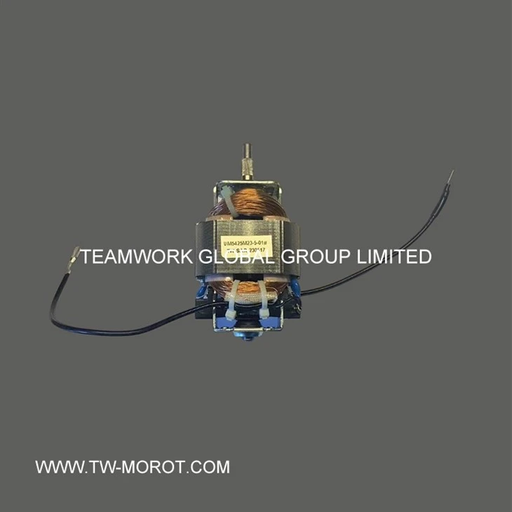 Juice Blender Motor